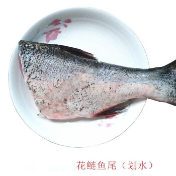 微山湖新鮮大花鰱魚頭現殺胖頭魚頭鱅魚頭雄魚頭剁椒魚頭花鰱魚尾1000