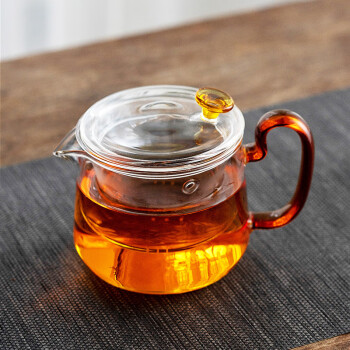雅集玻璃茶壶单壶 功夫煮茶泡茶壶家用耐高温过滤红茶壶茶具