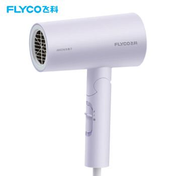 飞科 FLYCO 电吹风机负离子功能磁吸集风嘴可折叠FH6277 1800W