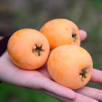 春光岛【商超品质】果3斤特大果新鲜甜果应季水果整箱5