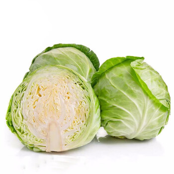 包菜 卷心菜 绿甘蓝 洋白菜 圆白菜 新鲜蔬菜 5斤