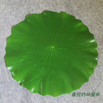 仿真荷叶水池装饰小荷花莲叶塑料绿叶子莲花共佛睡莲塑料绿植客厅道具