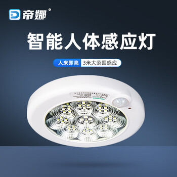 帝娜灯饰人体红外感应灯家用楼梯玄关入户走廊过道阳台楼梯灯车库灯