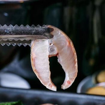 鲟鱼 食用鲟鱼泉水生态中华鱼鲟鱼鲟龙鱼软骨无刺不腥活鱼现杀 美味