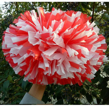 啦啦队彩球花球啦啦操拉拉队广场舞亚光手花助威道具大号双头花球