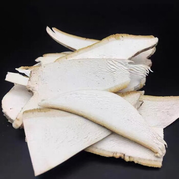 煜树白灵芝林下白林芝长白山灵芝白林芝玉芝可切片 白灵芝1000g