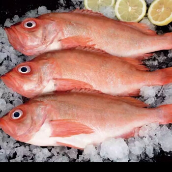富贵鱼新鲜冷冻大眼鱼深海海鲜水产鲜活红鱼丽鲜玫3斤装