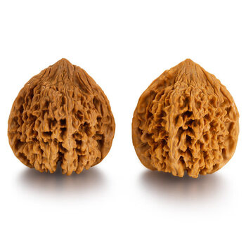 朴春 文玩核桃把玩满天星狮子头四座楼特大手玩古玩麻核桃精选配对