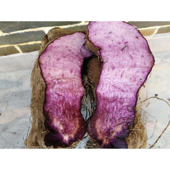 广西脚板大薯,新鲜紫肉大薯 现挖农家脚板薯紫山药脚板薯5斤 2501g