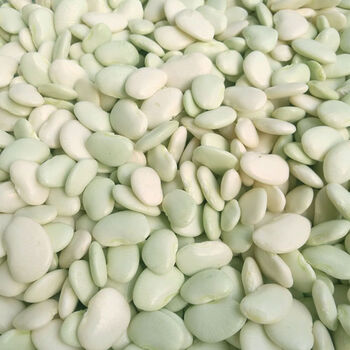 洋扁豆剥壳新鲜白芸豆籽温州蔬菜真空包装泰顺农家白豆白玉豆 500