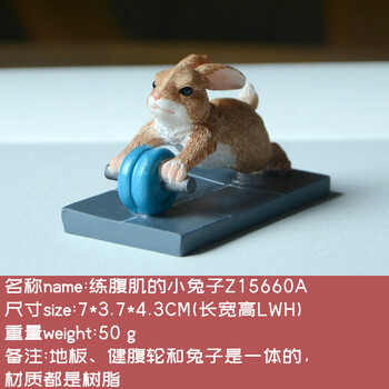 练腹肌的小兔子【图片 价格 品牌 报价】-京东