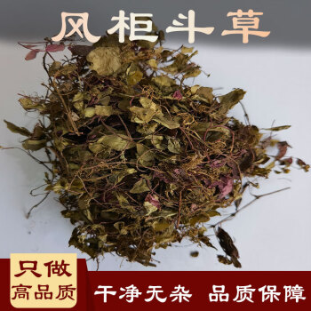 風櫃鬥草 中藥材 250克 風鼓草 風穀草 中草藥 250g