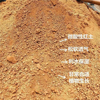高山土无污染养花种菜花土果树苗木土壤细腻营养全面天然黄土泥土高山
