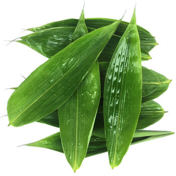 新鲜箬竹叶子棕叶寿司料理烤肉摆盘粽叶新鲜大商用粽子叶新叶 宽5-7cm