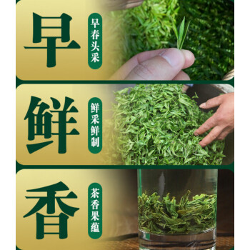 宜兴春季炒青毛尖新绿茶春茶浓香型袋装散装2袋500g250g