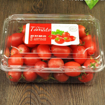 农家圣女果云南小番茄小西红柿新鲜生吃4斤