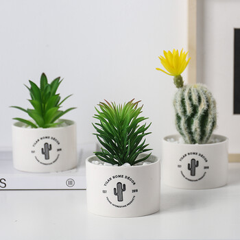 创意假花仿真绿植盆栽多肉仿真花北欧小摆件植物客厅桌面装饰红色搭配师优选组合a 图片价格品牌报价 京东