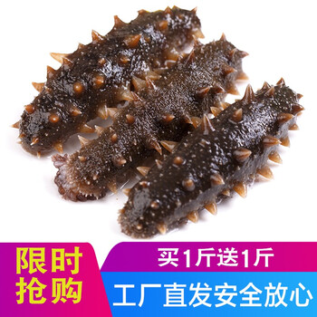 【冰鲜到家】明威自营即食海参单个装 辽刺参海渗鲜活海刺参500g 【买一斤送一斤】4-6头 腐坏包赔【图片 价格 品牌 报价】-京东