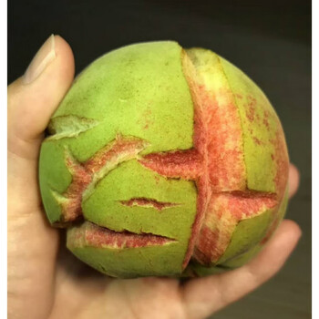 芬岚 网红山东丑桃5斤青州蜜桃孕妇新鲜水果裂口桃