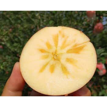 山西万荣雪果冰糖心红富士苹果10斤新鲜苹果冰糖心苹果平果生鲜10斤