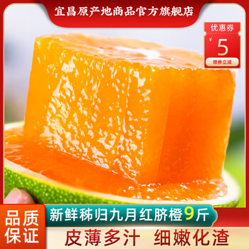 xywlkj湖北九月红橙9斤新鲜大果当季水果整箱甜橙红橙子果冻橙3斤75mm