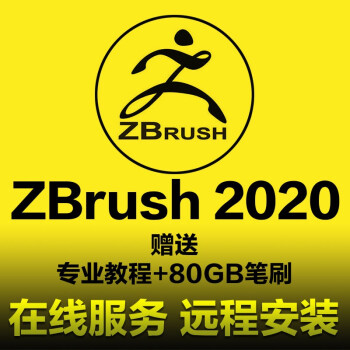 Zbrush 19 18中文版软件远程安装雕刻建模打印雕刻zb软件视频教程送素材zbrush 19 Win系统 图片价格品牌报价 京东