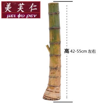 青竹水烟筒原竹头烟筒长短款手工竹子烟斗过滤烟壶湛江云南水烟具七夕情人节礼物 长款【图片 价格 品牌 报价】-京东
