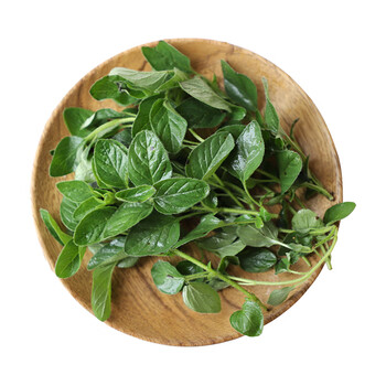 牛至叶100g新鲜披萨草香料西餐佐料 100g【图片 价格