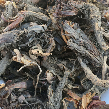 甘松500克香松甘松香干松