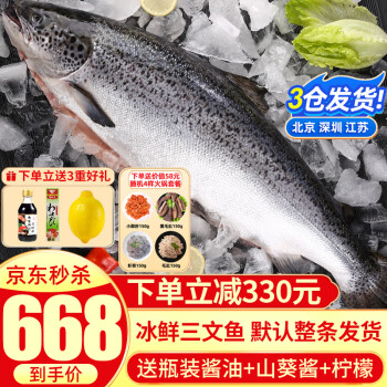 崇鲜【整条】新鲜冰鲜三文鱼整条（大西洋鲑）6.0-5.0kg 整条刺身即食