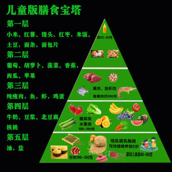 霏皖膳食寶塔食物模型 2022新版膳食寶塔模型中國居民平衡飲食金字塔