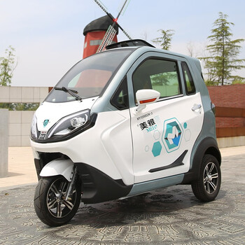 大型电瓶车电动三轮车家用全封闭小型带棚接送双排老年老头乐新国标