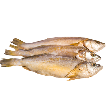 【顺丰配送】顺丰速运 【免清理皇瓣鱼】  皇瓣鱼 黄鱼新鲜三去清理