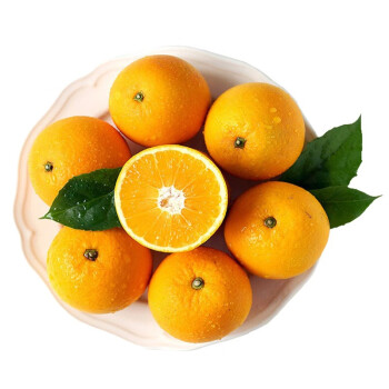 麻阳冰糖橙 新鲜水果 湖南麻阳橙子 5斤装