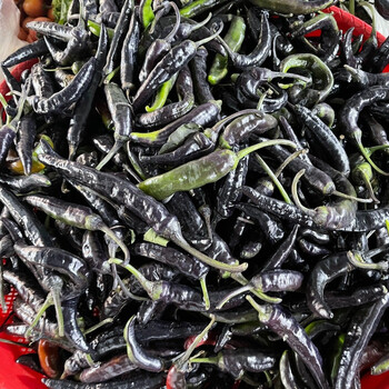 云南德宏农家自种新鲜黑辣子生辣椒很很爽口黑皮辣子不打农1斤