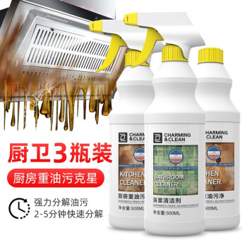 雅彩洁（YACAIJIE ）油烟机清洗剂  去油污厨房多功能泡沫清洁剂500ml*2  玻璃清洁剂去除水垢皂垢500ml