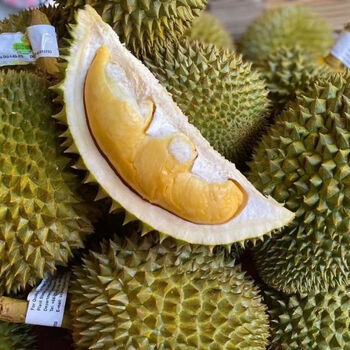 白衣鲜人泰国托曼尼榴莲新鲜进口现摘迷你巴掌榴莲生鲜