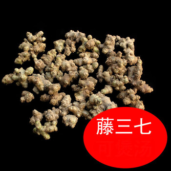 藤三七植物苗土田七种子根茎室外易活花卉爬藤绿植盆栽藤三七半斤裸根