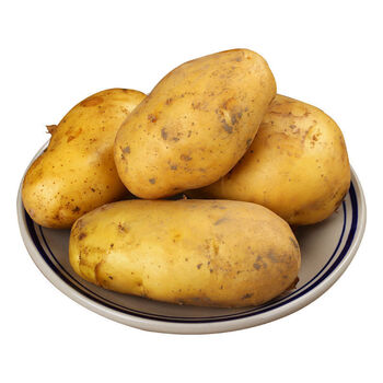 东北大土豆当季沙地黄皮黄心土豆 新鲜蔬菜洋芋马铃薯 9斤装
