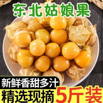 现货 东北大菇娘果灯笼果特产新鲜水果姑娘果当季黄姑娘果5斤 图片价格品牌报价 京东