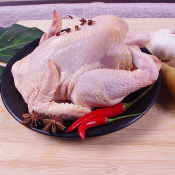 现杀速冻散养草鸡笨鸡童子鸡整鸡123只装1只装尝鲜