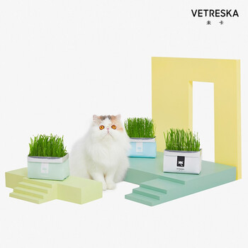 未卡vetreska猫草种子无土壤水培去毛球狗尾巴草燕麦黑麦猫草猫咪用品猫零食黑麦猫草 3 图片价格品牌报价 京东 未卡vetreska猫草种子无土壤水培去毛球狗尾巴草燕麦黑麦猫草猫咪用品猫零食黑麦猫草 3 图片价格品牌报价 京东