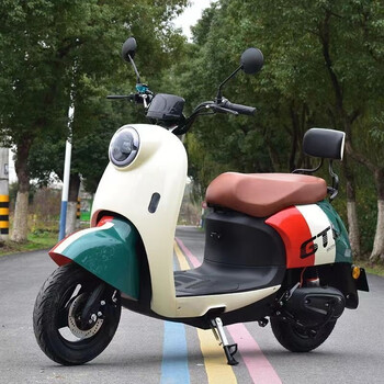 cnzko新款新国标电动车小型电动自行车电瓶车男女士两轮代步车成人