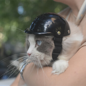 元族猫咪头盔宠物机车哈雷摩托帽子安全英短狗狗小型犬太阳镜防风配饰