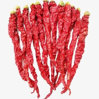 望蓝川高台辣椒 甘肃特产高台辣椒高台辣皮子海椒线椒大盘鸡辣椒干