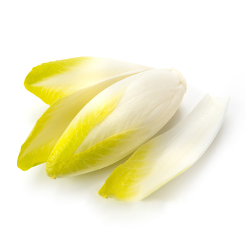 芽球菊苣玉兰菜碱性食疗蔬菜新鲜蔬菜2斤