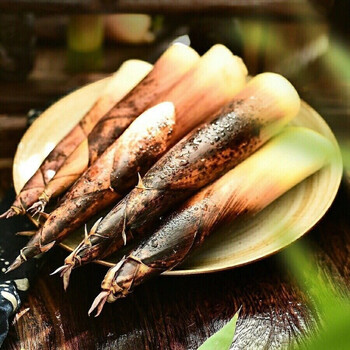 春笋新鲜竹笋尖现挖小竹笋批发蔬菜 尝鲜小笋(保温箱 冰保鲜) 净重2斤