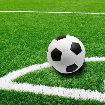 草坪学校室外仿真运动草皮免填充假草皮五人制七人制国标专业球场定制