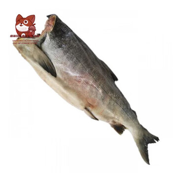 落蓝黑龙江 新鲜腌制大马哈鱼咸鱼 东北特产 整条去头去脏咸鱼  3.