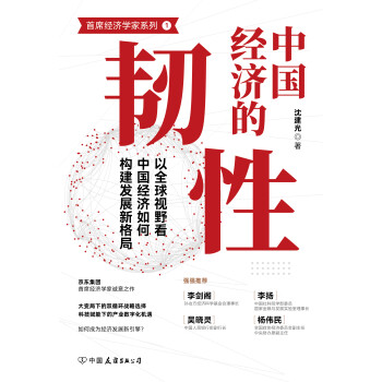 中国经济的韧性pdf/doc/txt格式电子书下载